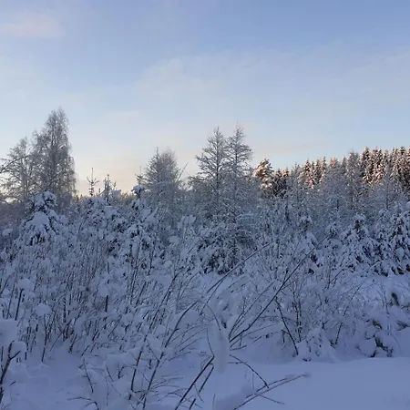 Rauhallinen Moekki Chalet